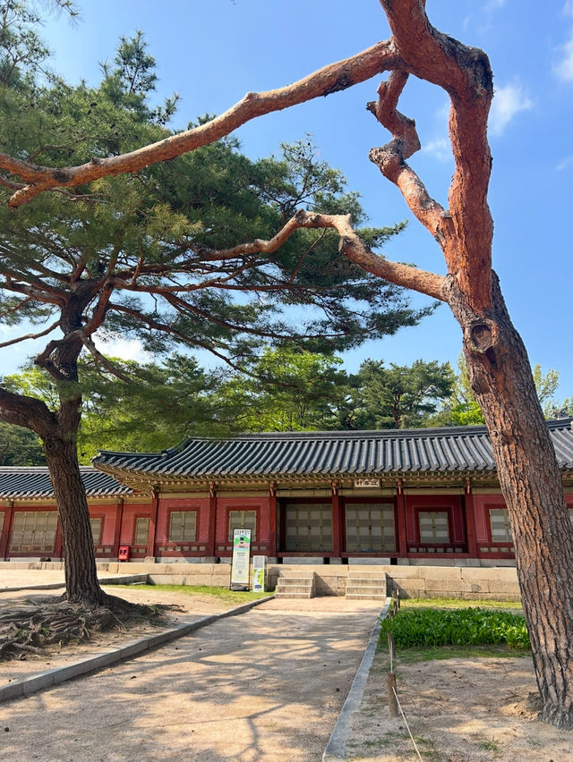 창경궁, 조선의 시간