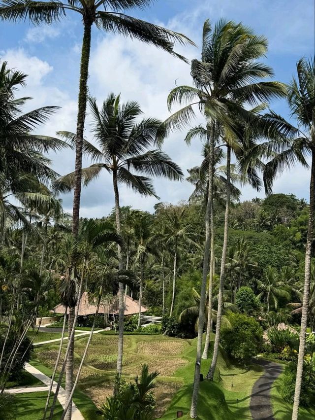 🌳 Sleep Among the Treetops – Magical Tree Stay in Ubud