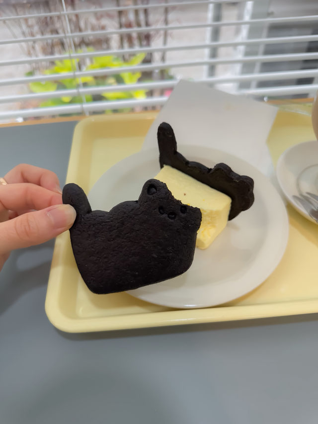 조용하고 작은 옛 골목에 숨겨진 고양이 세상, 문래 토요 