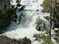 Timeless Wonder: Watching Old Faithful Erupt in Yellowstone