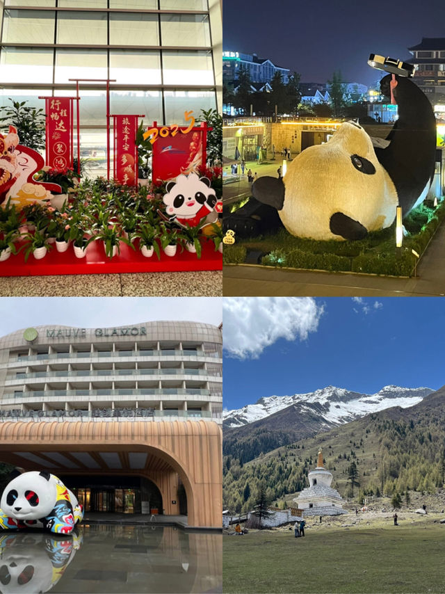 3 days in Chengdu: pandas, hotpot, ancie