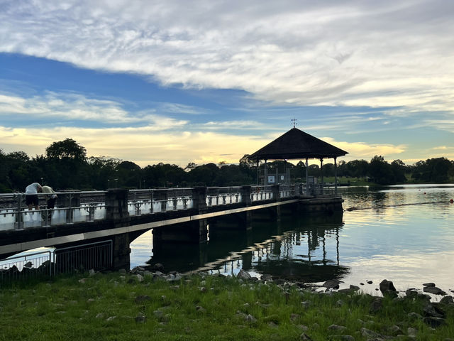 Lower Peirce Reservoir – Brisk Walks & Monkey Business