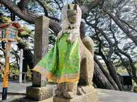 The Wonderful Gem in Aomori Pref.