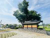 Hidden Gem Near Camp Humphreys