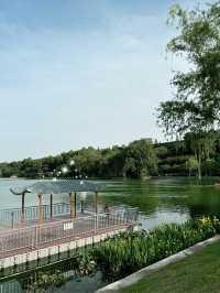 บรรยากาศเย็นสบายที่ Xuanwu Lake