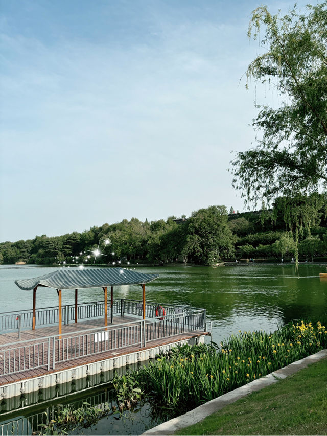 บรรยากาศเย็นสบายที่ Xuanwu Lake บรรยากาศเย็นสบายที่ Xuanwu Lake
