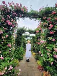 横浜🌹素敵な癒しのスポット🌹港の見える丘公園🥰