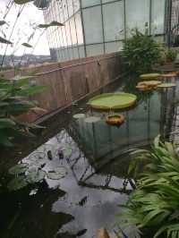 Discover 1 Utama’s Secret Garden in the Sky