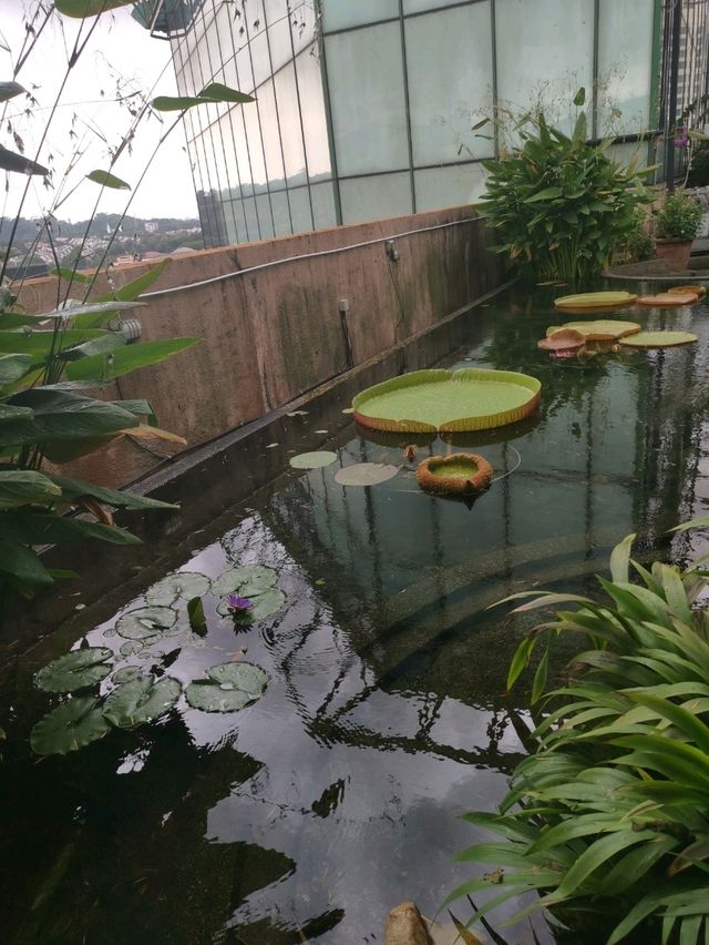 Discover 1 Utama’s Secret Garden in the Sky