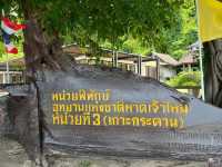 Where Nature Meets the Ocean- Exploring Hat Chao Mai