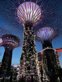 ทริปใจฟู ณ สิงคโปร์🇸🇬