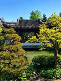 Dr. Sun Yat-Sen Classical Chinese Garden – A Tranquil Oasis in Vancouver’s Chinatown