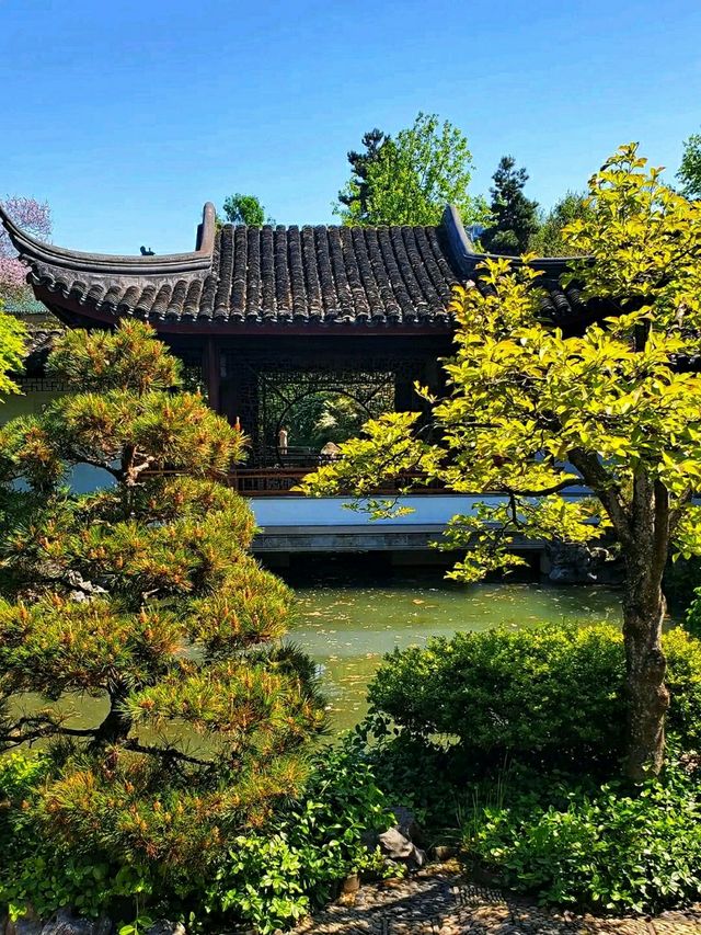 Dr. Sun Yat-Sen Classical Chinese Garden – A Tranquil Oasis in Vancouver’s Chinatown