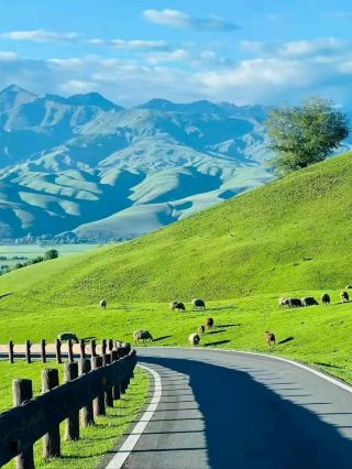 Ili Grasslands: Xinjiang’s Hidden Prairie Paradise