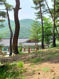 은해사, 그늘 아래 걷는 즐거움