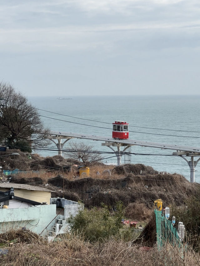 부산 뚜벅이 여행 🚶
