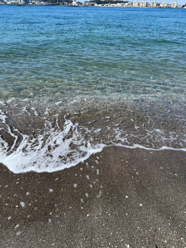 東京からすぐ行ける秘境🫣🌿豊かな自然と済んだ海の美しい無人島🏝
