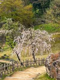 Kanazawa Castle & Kenrokuen – Timeless Beauty in the Heart of Kanazawa