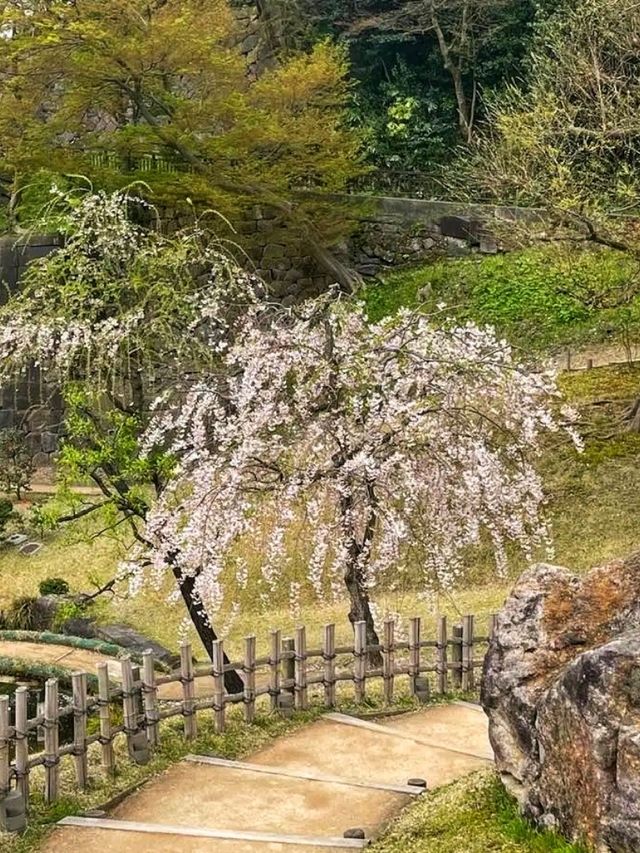 Kanazawa Castle & Kenrokuen – Timeless Beauty in the Heart of Kanazawa