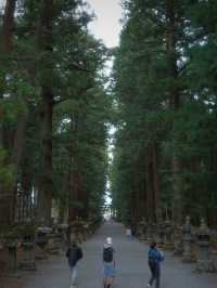 來富士山不能錯世外桃源的神社