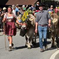 🐄🌿 Almabtrieb: A Swiss/Austrian Autumn Festival Celebrating the Cattle Homecoming
