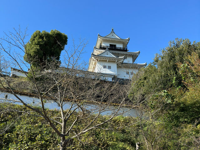 Kakegawa Castle – A Beautiful Glimpse into Feudal Japan