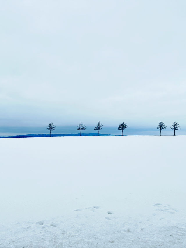 2023年3月❄️追趕日本道東極地流冰之旅❄️上集 - 流冰漫步