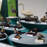 名古屋市科学館の特別展