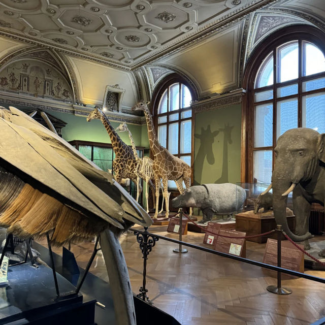 Great Summer Spot for Kids | Vienna Natural History Museum 🦕🔬🌿
