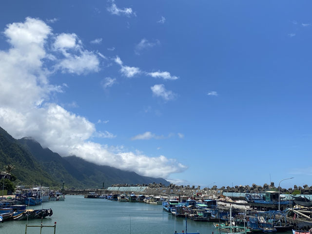 石梯漁港 🐟 賞鯨發源地 岬灣地形