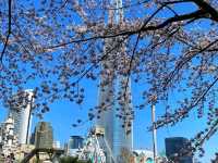 Sky-High Luxury at a Smart Price – Signiel Seoul Experience