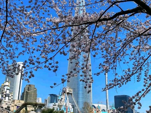 Sky-High Luxury at a Smart Price – Signiel Seoul Experience