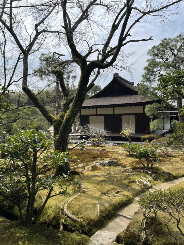 Kyoto strolling! 
