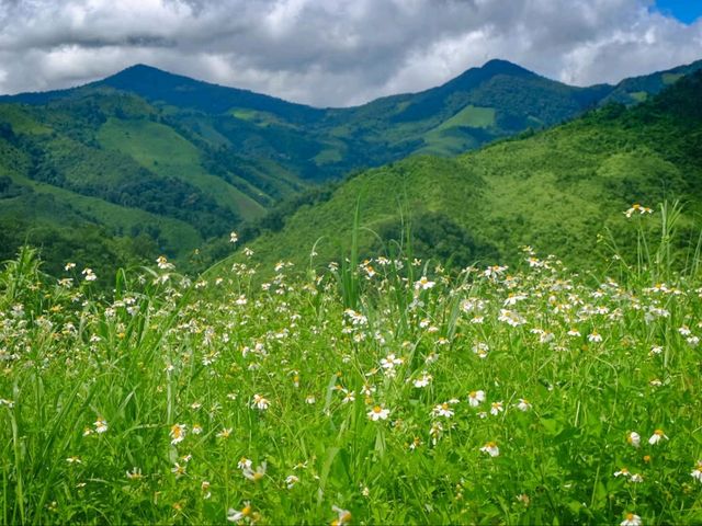 🌾นาขั้นบันได บ้านเวร จ.น่าน🌾