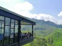 Escape the Heat, Embrace the Hills: One-Day Fun at Cameron Highlands!
