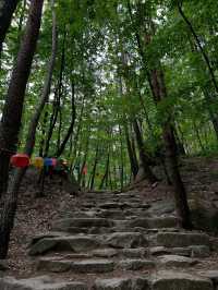 Mulleung Valley