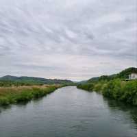 Chungju Forest & Hot Spring Feels
