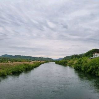 충주 숲 & 온천의 힐링 느낌