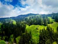 Rigi by Rail – A Peaceful Ascent with Epic Views