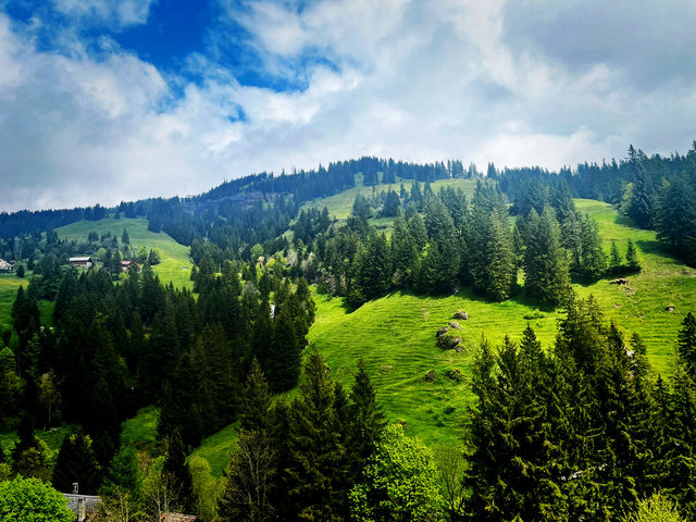 Rigi by Rail – A Peaceful Ascent with Epic Views