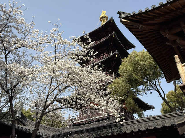 蘇州｜初春·寒山寺