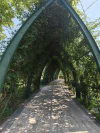 A Cherry-Filled Escape on a Budget – Gucun Park, Shanghai