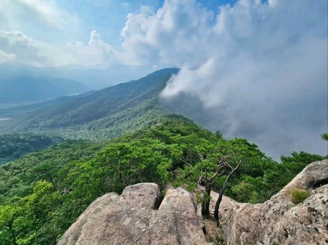 Forest Trails and Heroic Views in Wanju