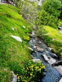 Summer Train Journey: St. Moritz ➝ Zurich – Scenic Swiss Rail Review