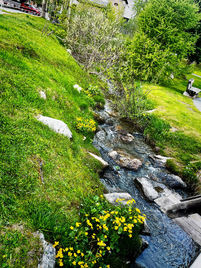 Summer Train Journey: St. Moritz ➝ Zurich – Scenic Swiss Rail Review