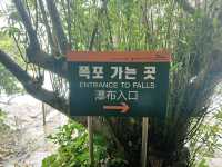 🌧️ 비내리던 날 ‘정방폭포’