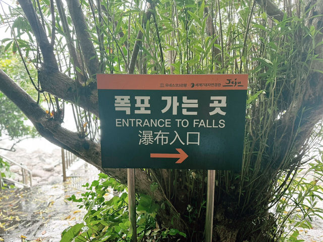 🌧️ 비내리던 날 ‘정방폭포’