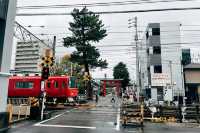 🚼松林中的祈願聖地：德川家康也來參拜的六所神社⛩️