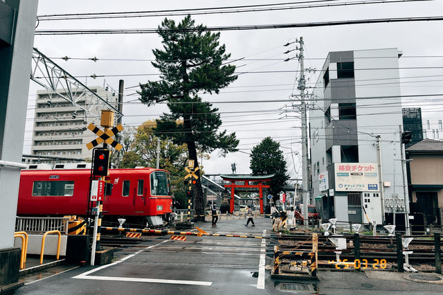 🚼松林中的祈願聖地：德川家康也來參拜的六所神社⛩️