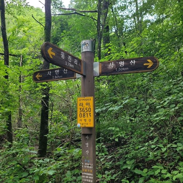 Hike with Peaceful Vibes